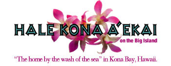 property_logos_home_kona